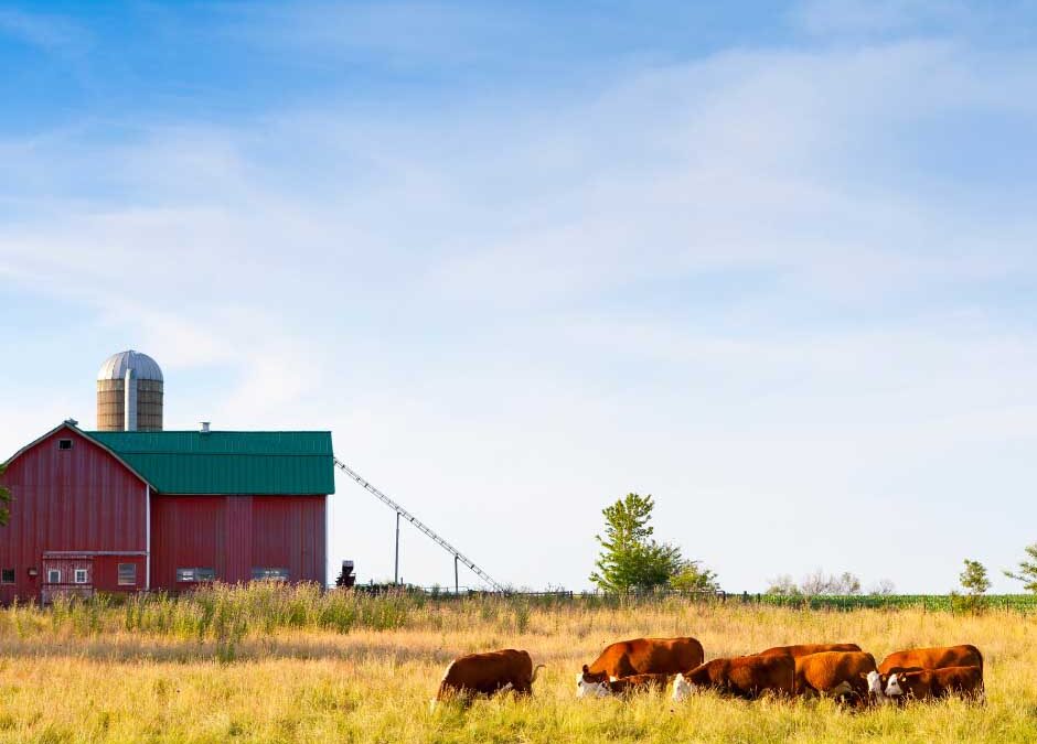 Summer on the Farm: Insurance That Grows with the Heat